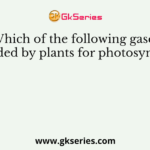 Which of the following gases is needed by plants for photosynthesis?