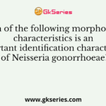 Which of the following morphological characteristics is an important identification characteristic of Neisseria gonorrhoeae?