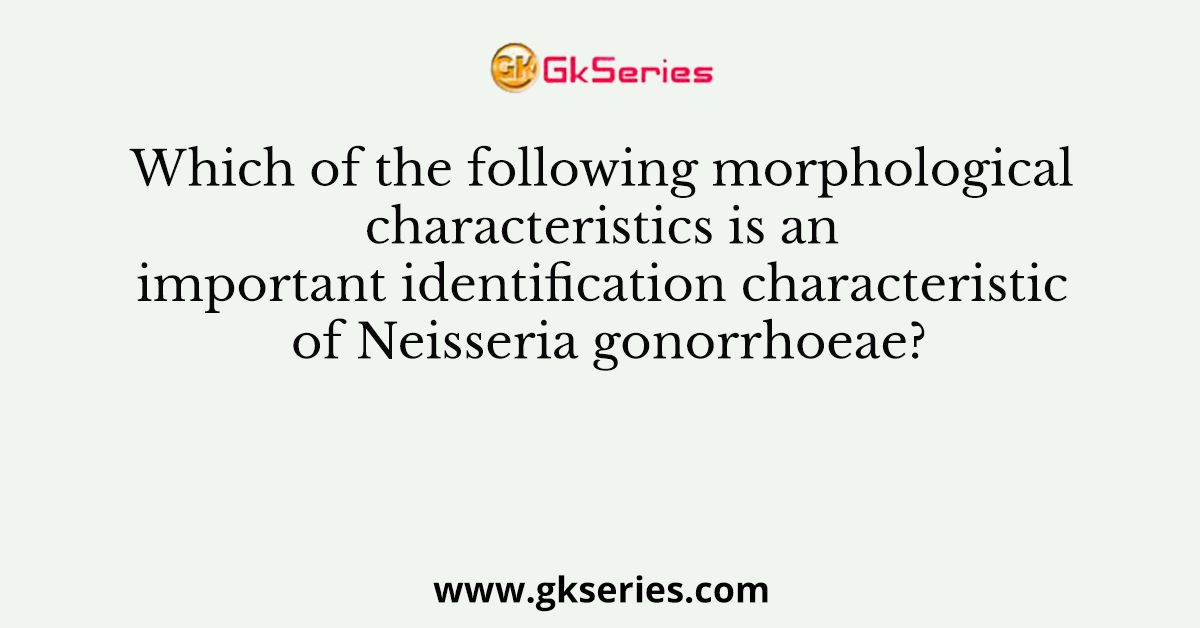 Which of the following morphological characteristics is an important identification characteristic of Neisseria gonorrhoeae?
