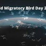 World Migratory Bird Day 2022 celebrates on 8th October