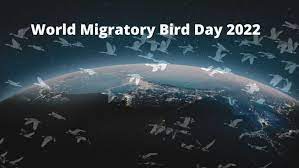 World Migratory Bird Day 2022 celebrates on 8th October