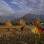 ADB to fund Smartchem Technologies' farm efficiency initiative