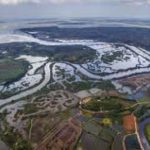 Franca Ma-ih Sulem Yong gets UNESCO Madanjeet Singh Prize for 2022