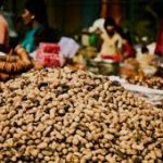 Groundnut Festival ‘Kadalekai Parishe’ begins in Karnataka