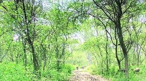 Haryana Forest Department and USAID launched TOFI Program