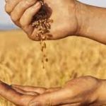 2022 Global Food Security Index (GFSI) Report