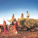 Centre awards nine GI tags to take total to 432