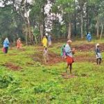 Forest department launched Project ‘Vanikaran’ in Kerala