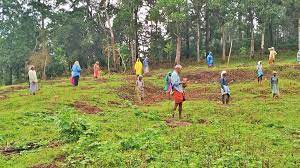 Forest department launched Project ‘Vanikaran’ in Kerala