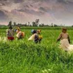 Indian National Farmer’s Day 2022 celebrates on 23 December