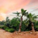 Kerala green start-up Tree Tag bags award in 2022 Climathon