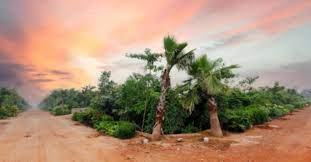 Kerala green start-up Tree Tag bags award in 2022 Climathon