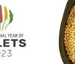 International Year of millets 2023