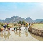 MoU signed to facilitate low interest rate loans to farmers