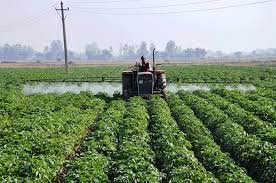 Govt approves Rs 30.40 cr ‘Sensor-based Smart Agriculture’ project