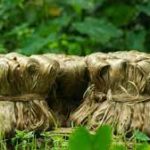 Government hikes raw jute MSP Rs 300 to Rs 5,050 per quintal