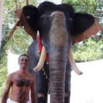 Kerala temple become India’s first to induct robotic elephant for ritual duties