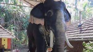Kerala temple deploys life-size ‘robotic elephant’ for festival