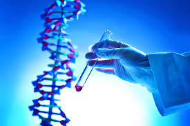 Reliance Life Sciences receives a gene therapy technology licence from IIT Kanpur