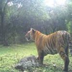 Tamil Nadu’s 18th wildlife sanctuary to come up in Erode