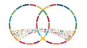 The Qatar Ministerial Meeting On South-South Cooperation