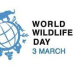 World Wildlife Day 2023 celebrates on 3rd March