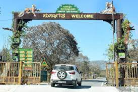 Bandipur completes 50 years as a Project Tiger Reserve