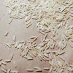 Chhattisgarh’s Nagri Dubraj rice variety gets GI tag