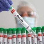 China records world’s first human death from H3N8 bird flu