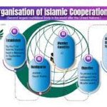 India slams OIC for its ‘anti-India’ agenda