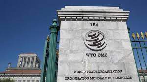 WTO rules India violated global trade rules in IT dispute
