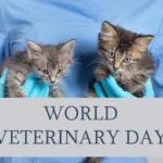 World Veterinary Day 2023 observed on 29th April