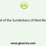 The soil of the Sunderbans of West Bengal is