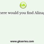 Where would you find Alinagar?