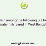 Which among the following is a fresh water fish reared in West Bengal?