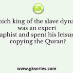 Which king of the slave dynasty was an expert calligraphist and spent his leisure time copying the Quran?