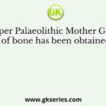 An upper Palaeolithic Mother Goddess made of bone has been obtained from