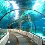 Assam’s First Underwater Tunnel To Come Up Under Brahmaputra