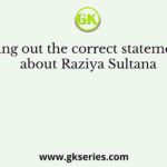 Bring out the correct statements about Raziya Sultana