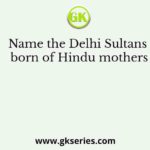Name the Delhi Sultans born of Hindu mothers
