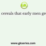 The first cereals that early men grown were