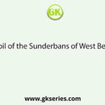 The soil of the Sunderbans of West Bengal is