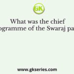 What was the chief programme of the Swaraj party?
