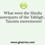 What were the Hindu counterparts of the Tabligh and Tanzim movements?