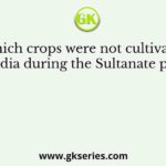 Which crops were not cultivated in India during the Sultanate period