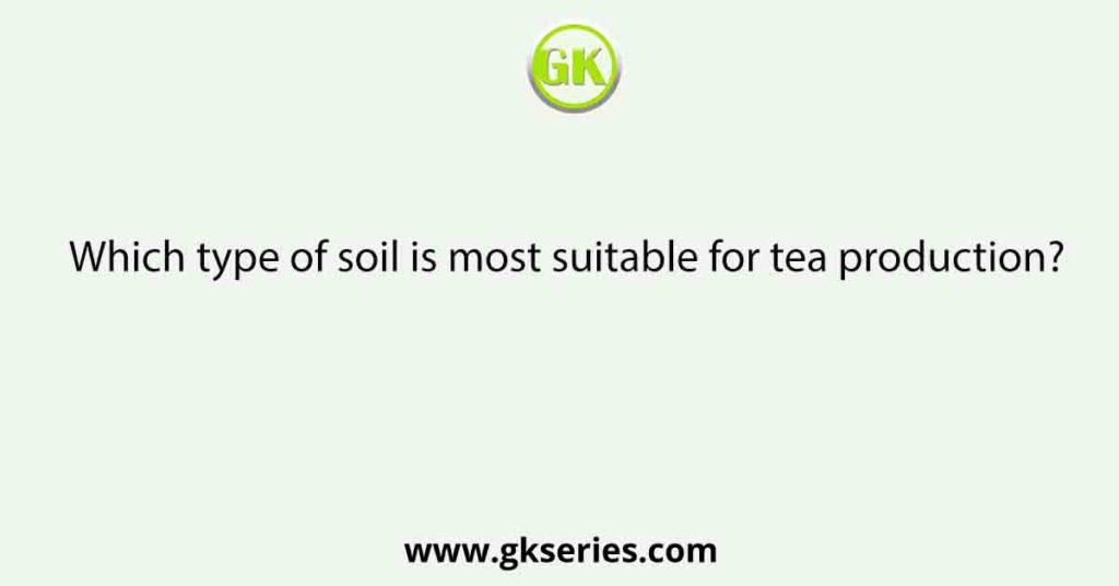 Which type of soil is most suitable for tea production?