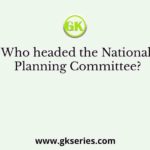 Who headed the National Planning Committee?