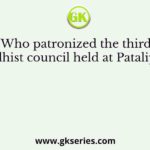 Who patronized the third Buddhist council held at Pataliputra?