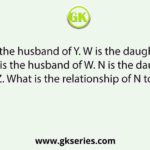 X is the husband of Y. W is the daughter of X. Z is the husband of W. N is the daughter of Z. What is the relationship of N to Y?