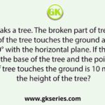 A storm breaks a tree. The broken part of tree bends so that the top of the tree touches the ground and makes an angle of 60° with the horizontal plane. If the distance between the base of the tree and the point where top of tree touches the ground is 10 m, find the height of the tree?